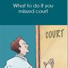 Reviewing Local Court decisions
